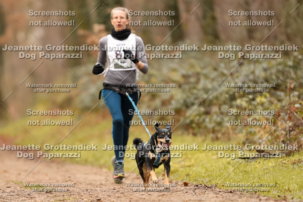 Dog Paparazzi - Speedhunter Mannheim  2025-234 | Dog Paparazzi Jeanette Grottendiek Fotografie & Videografie
