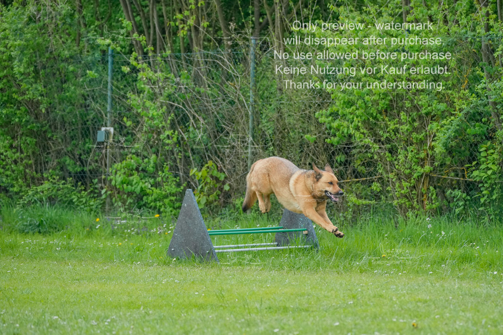 Sa_Laeufe_VK1und2_06-32 | stephaniefillaphotographie - Realisiert mit Pictrs.com