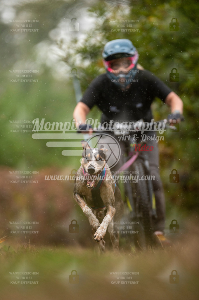 TSB_2023_E5_Bike-33 | PayLife