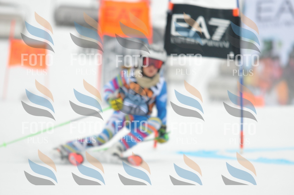 DSC_7630 | holidayphoto