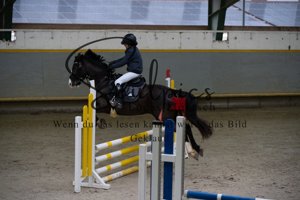 A7V00797 | Pferdefotograf