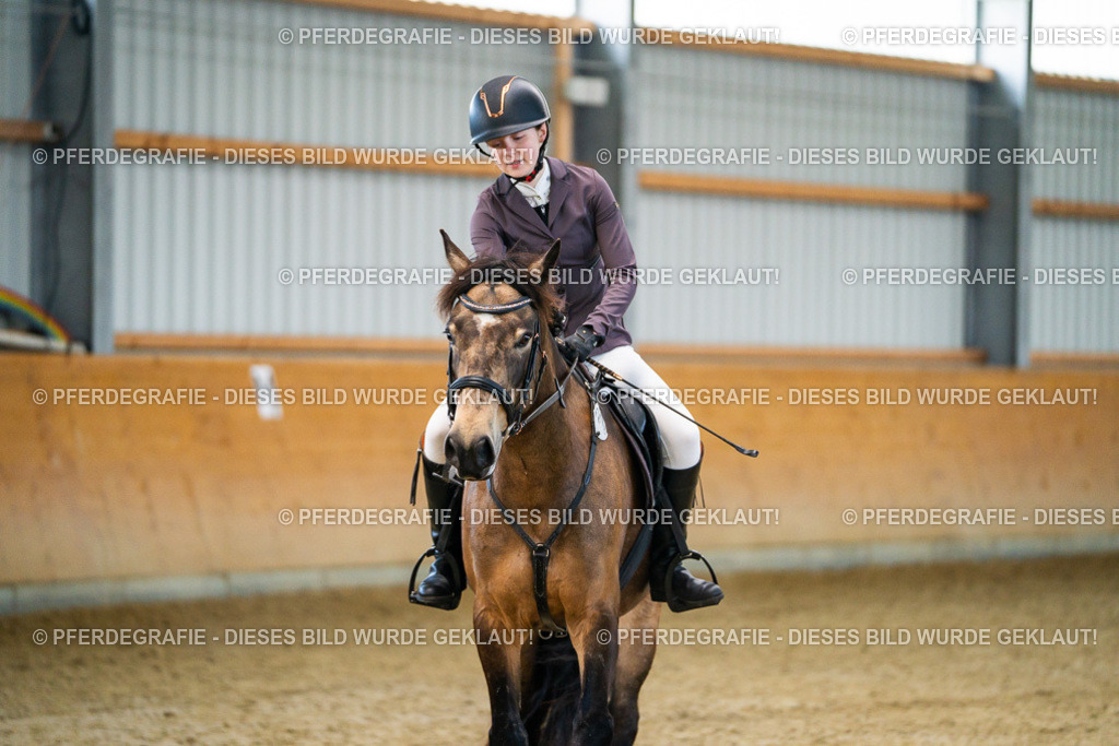 DSC00600 | Pferdegrafie