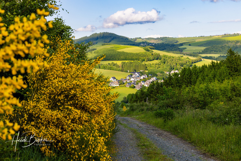 Westfeld und Umgebung 010 | Bilder und Impressionen zu jeder Jahreszeit aus dem Sauerland im Naturpark Sauerland-Rothaargebirge - Realisiert mit Pictrs.com
