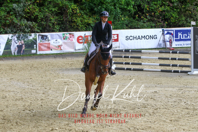 DKP40296 | Turniersportfotografie; Pferdefotografie; Dressurfotografie