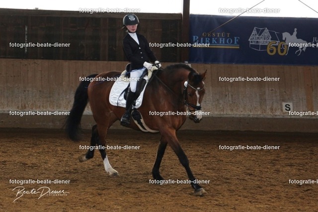 JugendTrophy0021 | Fotografie, Tiere, Hunde, Katzen, Pferde, Sportfotografie, Fotosession, Tierfotografie, Turnierfotografie, Fotografin, Fotograf - Realisiert mit Pictrs.com