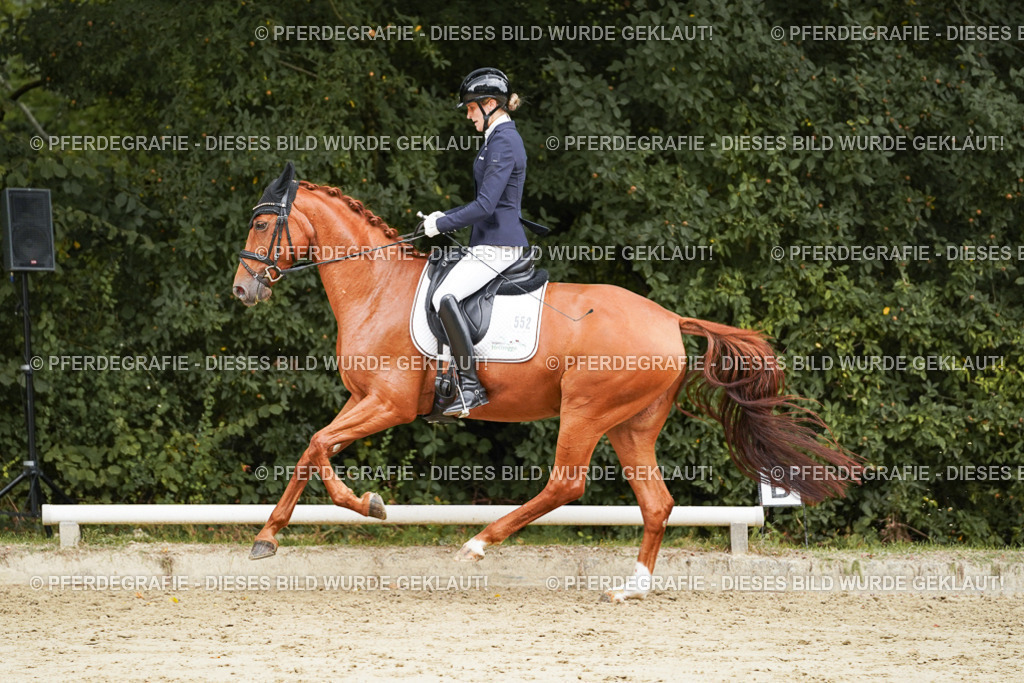 DSC00048 | Pferdegrafie