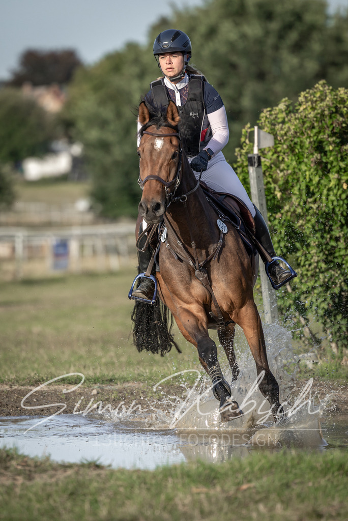 20250907-_3LI8382 | Tierfotografie Pferde, Hunde, Katzen, Haustiere.
Turnierfotografie Reitturniere, Reiten, Springreiten, Dressur in Hanau, dem Main-Kinzig-Kreis und dem Rhein-Main- Gebiet um Frankfurt