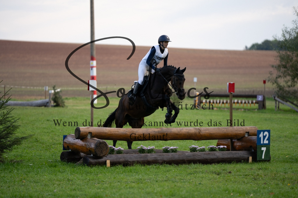 A7V03015 | Turnier/Reitfotograf