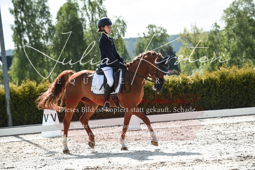 20230518_JK-Röhrsdorf-09-1490 | Pferde- und Turnierfotografie in Westsachsen. Pferdeportraits, Auftragszeichnungen und intuitive Kunst.