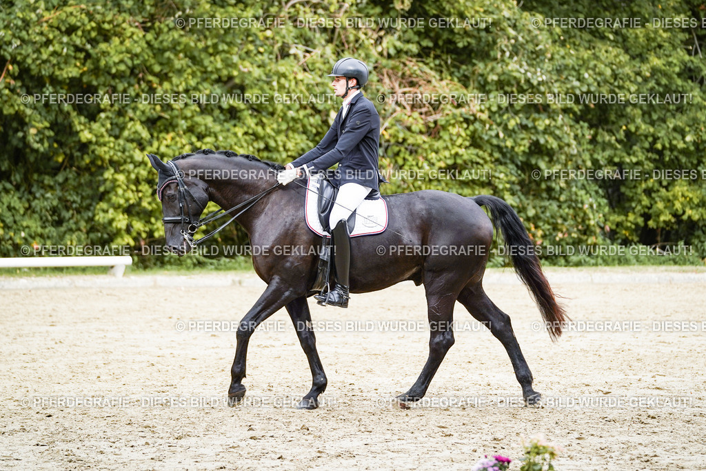 DSC05655 | Pferdegrafie