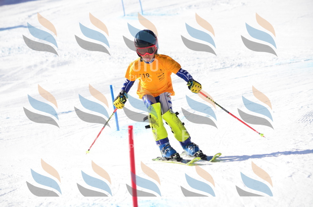 C6347 | holidayphoto