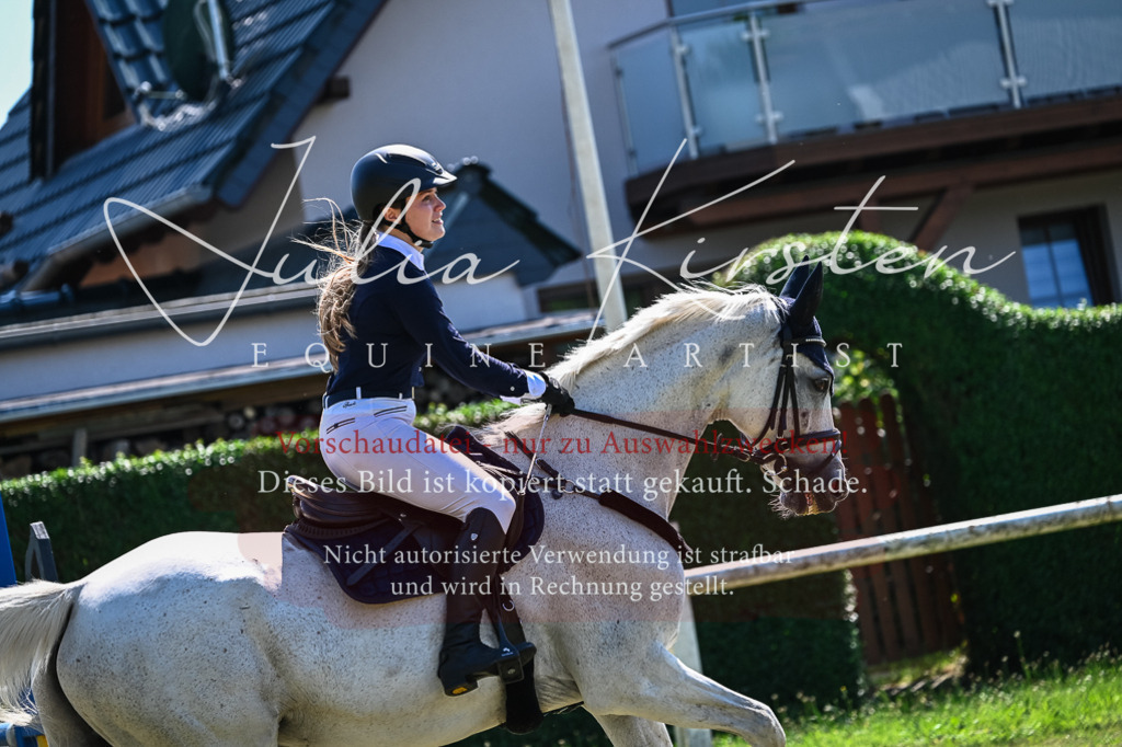 DSC_1394 | Pferde- und Turnierfotografie in Westsachsen. Pferdeportraits, Auftragszeichnungen und intuitive Kunst.