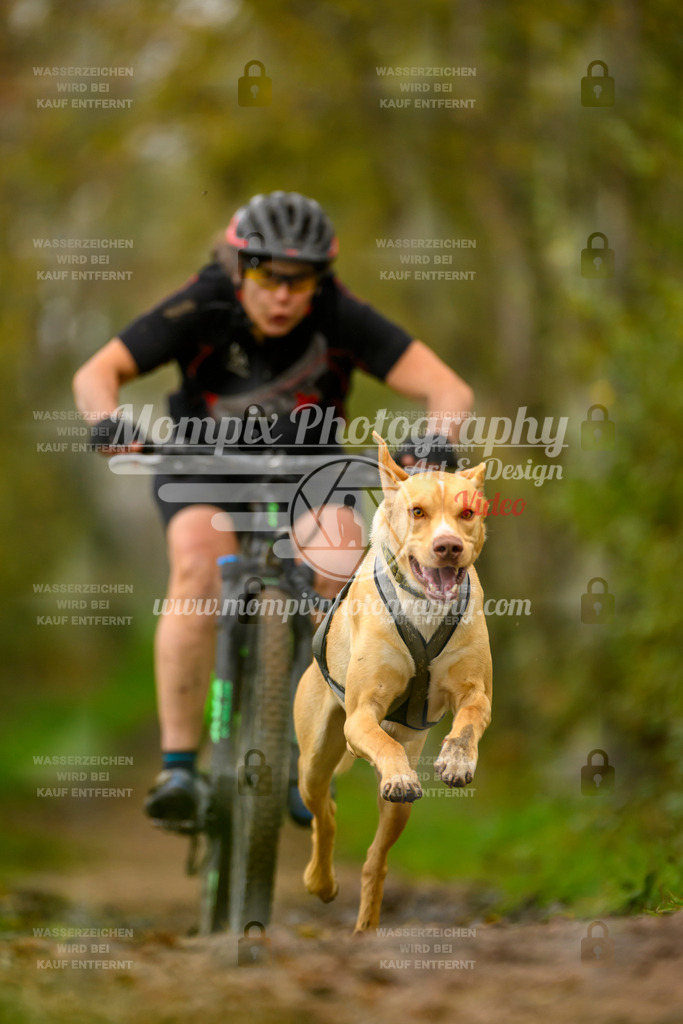 MompixPhotography_20TSB_E6_Bike-95 | PayLife