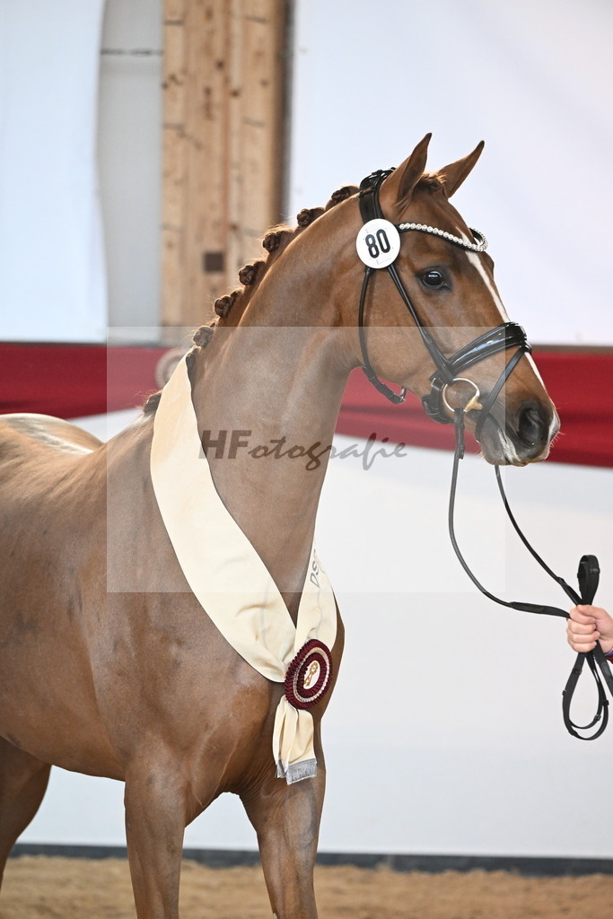 Kat.-Nr. 80 v. Vivino_Schepergerdes_2242896 | hf-fotografie - Realisiert mit Pictrs.com