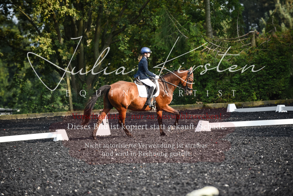 DSC_3360 | Pferde- und Turnierfotografie in Westsachsen. Pferdeportraits, Auftragszeichnungen und intuitive Kunst.