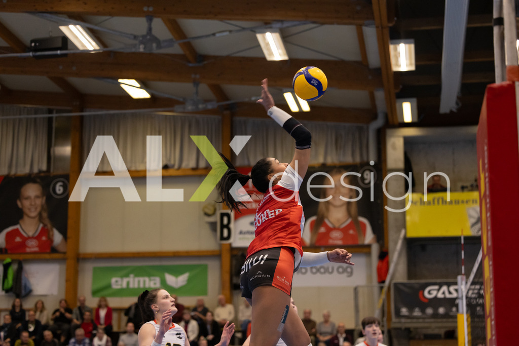 Volleyball I Frauen I Saison 2025-2026 I Volleyball NLA | Women I 1/4 Finals I VC Kanti Schaffhausen - BIWI Volleyball Franches-Montagnes I 21.02.2026 | 8 Letícia Bonardi (BR) (BIWI VFM) – Diagonalangriff - Realisiert mit Pictrs.com