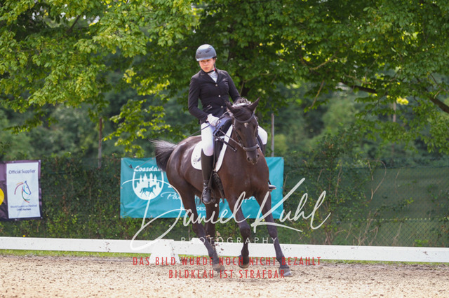 DKP42134 | Turniersportfotografie; Pferdefotografie; Dressurfotografie