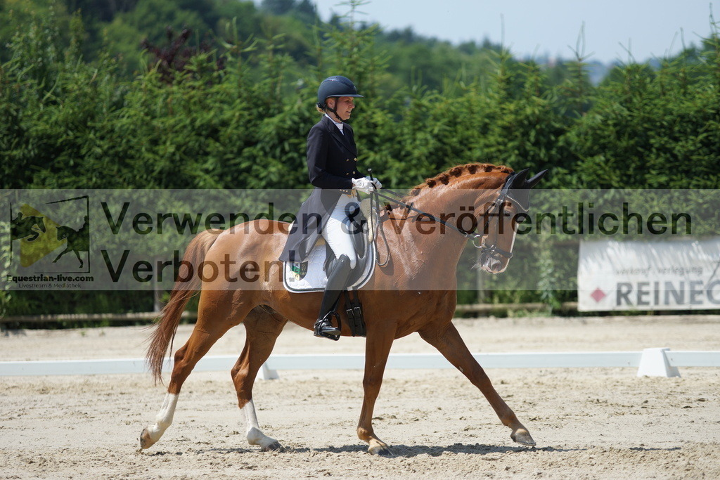DSC05128 | equestrian-live-com