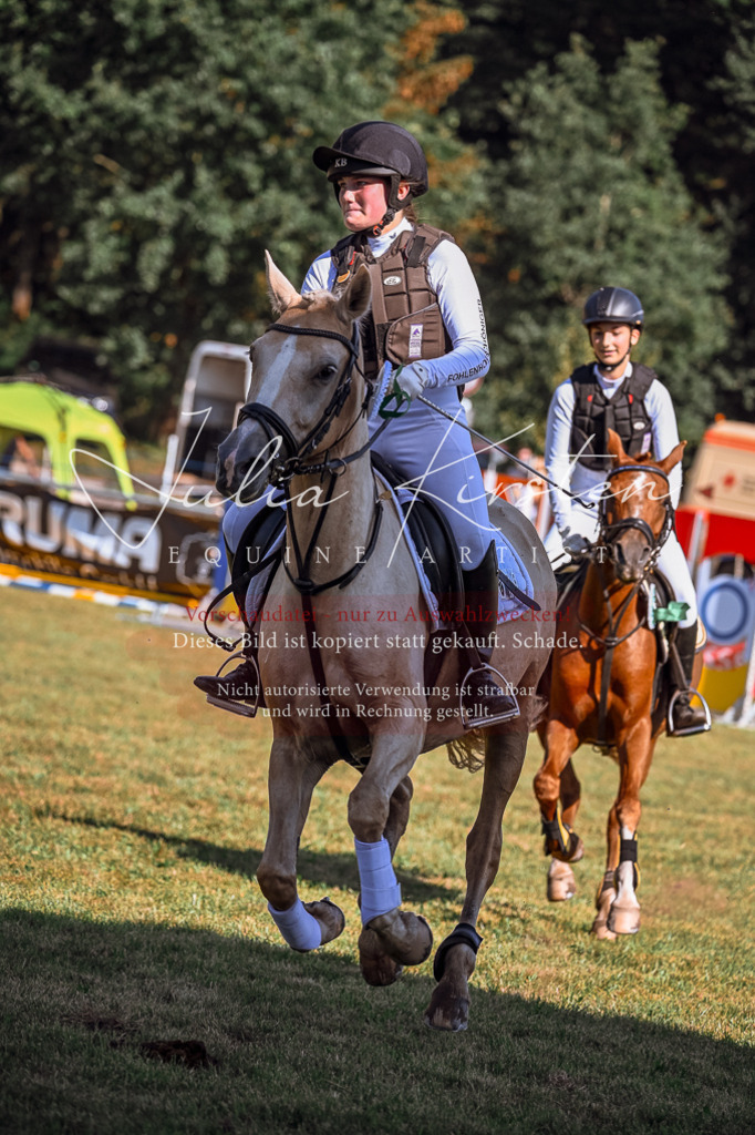 DSC_1190 | Pferde- und Turnierfotografie in Westsachsen. Pferdeportraits, Auftragszeichnungen und intuitive Kunst.