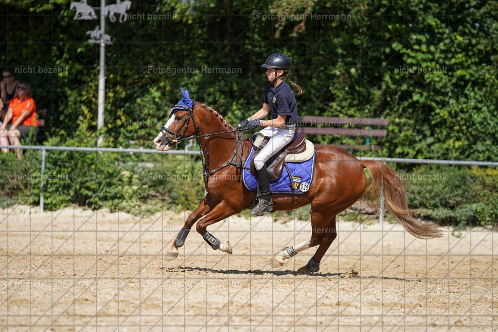 20240824-FAH08331 | Thierhaupten 2024, Bayerisches Landesponyturnier, Turnierbilder, Ponybilder, Turnierfotografen Bayern, Fotoagentur Herrmann