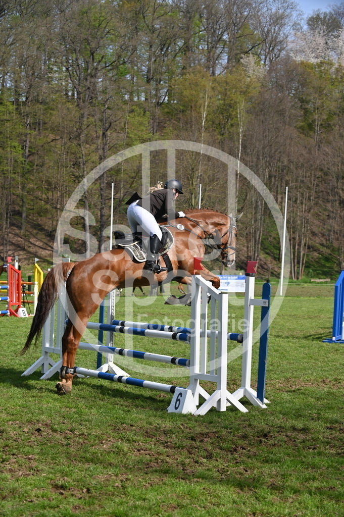 DSC_0630 | sattelsport - Realisiert mit Pictrs.com