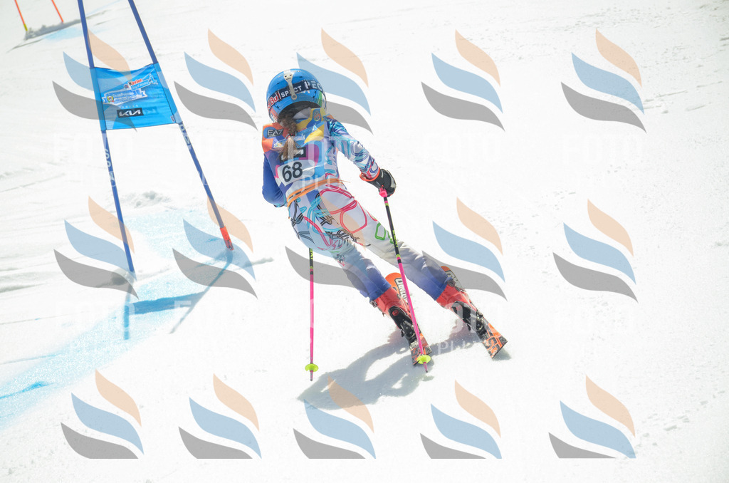 _ELE5412 | holidayphoto