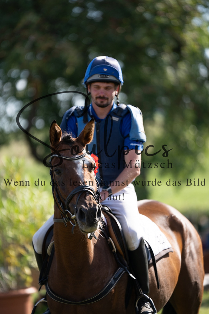 A7V03453 | Pferdefotograf