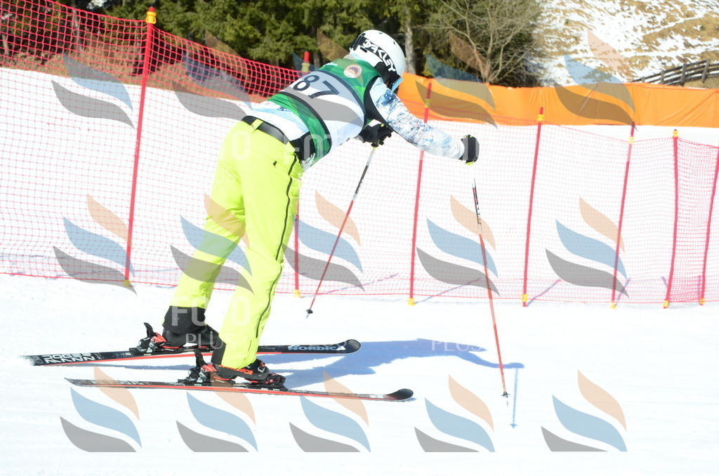 C6474 | holidayphoto