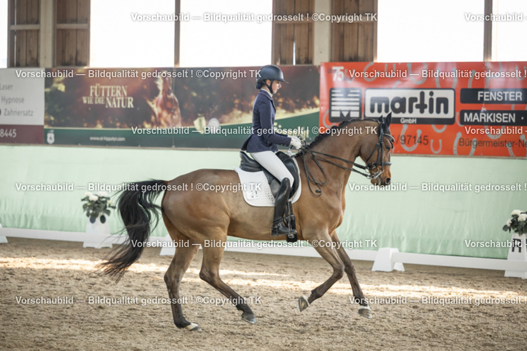 _D5A3195 | Emotionale Pferde- & People-Fotografie rund um Heidelberg, Leimen & Umgebung. Natürliche Fotos von Pferd, Mensch & Familie. Jetzt Termin sichern!