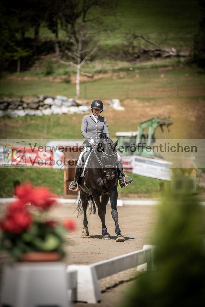 DSC_1388 | equestrian-live-com