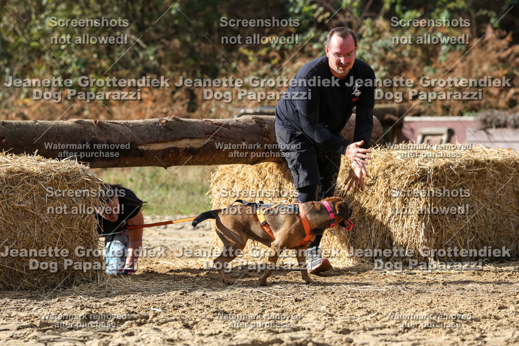 Dog Paparazzi - Strongdog 10-25-5165 | Dog Paparazzi Jeanette Grottendiek Fotografie & Videografie - Realisiert mit Pictrs.com