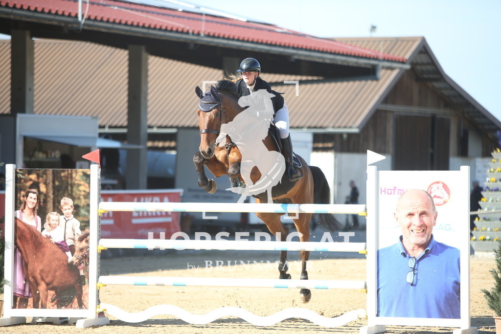 PP015624 | Willkommen bei Brunnmayr - Design & Fotografie – Ihrem Spezialisten für Reitturniere und Pferdeveranstaltungen in Oberösterreich, Salzburg und Bayern! Seit über 17 Jahren sind wir leidenschaftlich dabei.