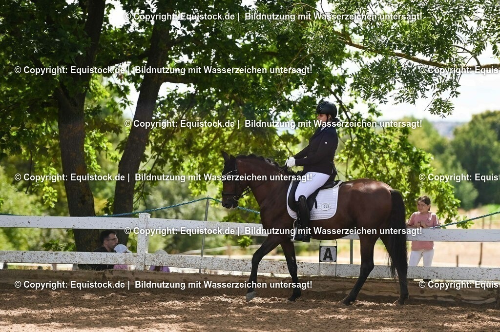 20230716_03_Dressurprfg. Kl.L - Tr._0111 | equistock