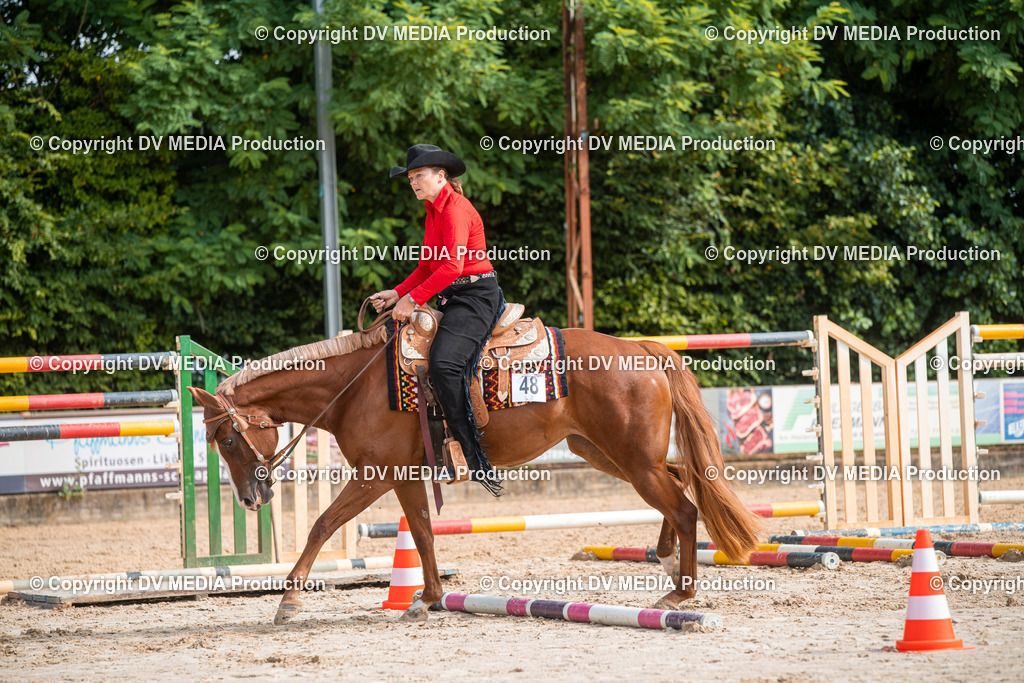 ZS3_9325 | dv-media-shop - Realisiert mit Pictrs.com