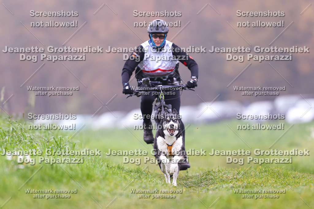 Dog Paparazzi - Visbeck 25 -247 | Dog Paparazzi Jeanette Grottendiek Fotografie & Videografie - Realisiert mit Pictrs.com