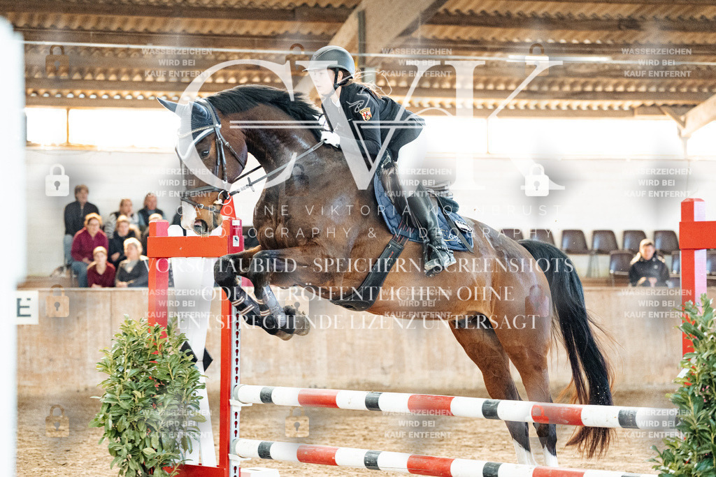 CK904442 | Turnierfotografie Pferdefotografie Trier Rheinland-Pfalz Pferdesport Reitsport Tierfotografie Sportfotografie Pferdevideo Pferdevideografie Equestrianvideography equestrianphotography  - Realisiert mit Pictrs.com