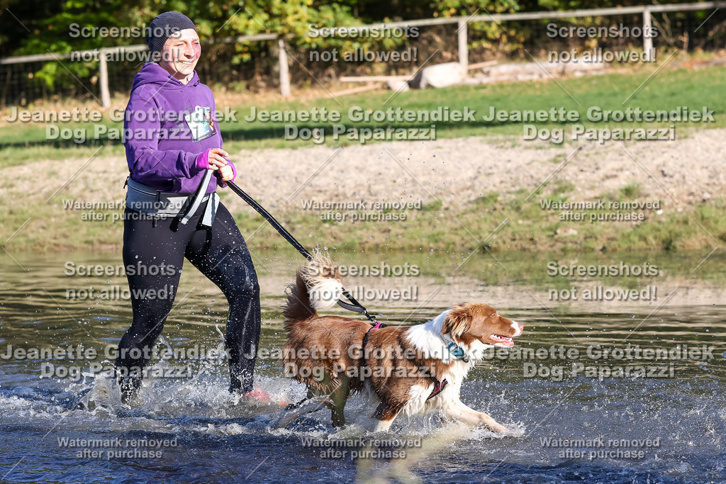 Dog Paparazzi - Strongdog 10-25-8790 | Dog Paparazzi Jeanette Grottendiek Fotografie & Videografie - Realisiert mit Pictrs.com