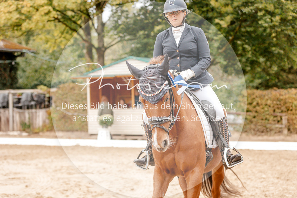 3I6A6044 | Stimmungsvolle Portraits und Reitsportfotografie im Ruhrgebiet und im Münsterland.

Pferdefotografie, Hundefotografie, Tierfotografie, Reportagen, Portraits von Tier und Mensch, Turnierfotografie in Bochum, Recklinghausen, Marl, Haltern am See, Dülmen.. - Realisiert mit Pictrs.com