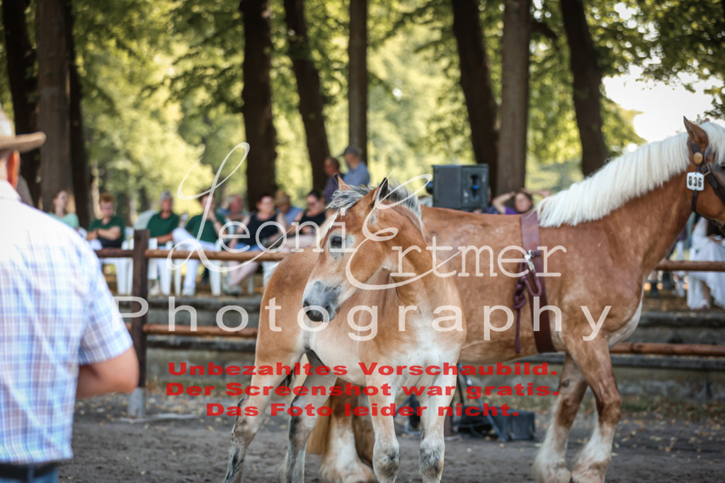 FrKHF00003 | Leoni Ertmer Photography - Realisiert mit Pictrs.com