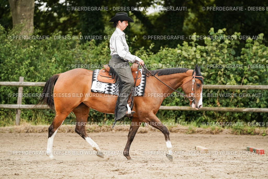 DSC08570 | Pferdegrafie