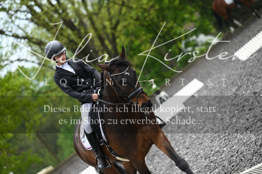 20230512_JK-Röhrsdorf-07-275 | Pferde- und Turnierfotografie in Westsachsen. Pferdeportraits, Auftragszeichnungen und intuitive Kunst.