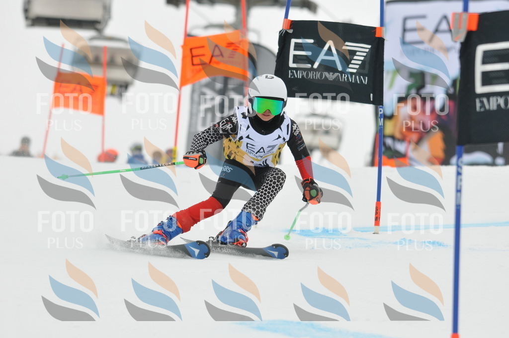 DSC_8244 | holidayphoto