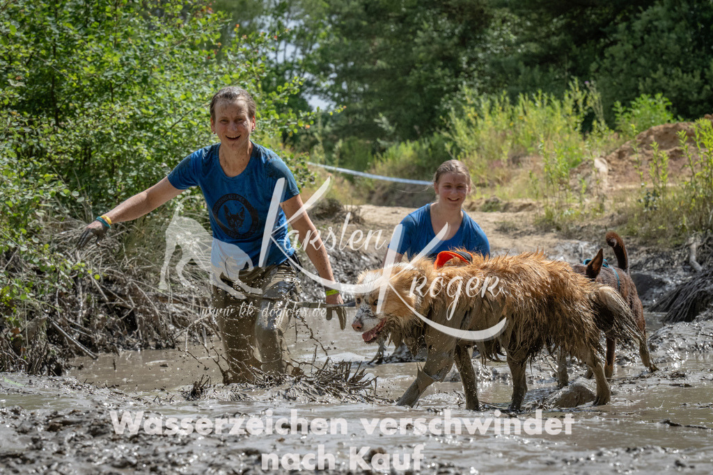 1527_ZZ90210 | kk-dogfotos