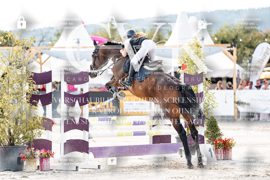 CK906179 | Turnierfotografie Pferdefotografie Trier Rheinland-Pfalz Pferdesport Reitsport Tierfotografie Sportfotografie Pferdevideo Pferdevideografie Equestrianvideography equestrianphotography  - Realisiert mit Pictrs.com