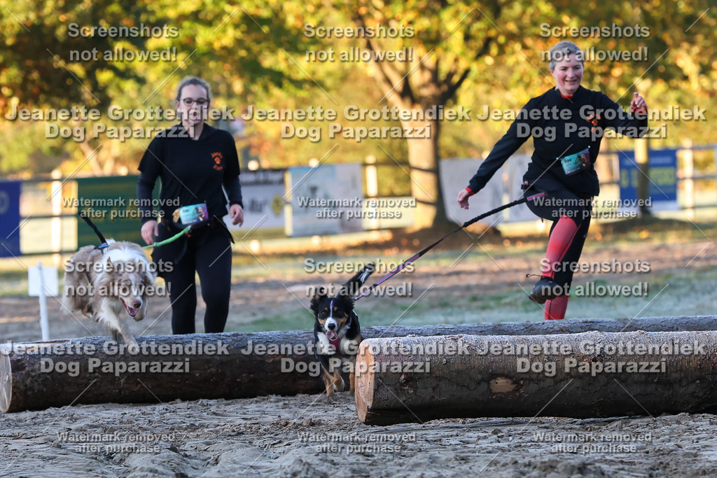 Dog Paparazzi - Strongdog 10-25-410 | Dog Paparazzi Jeanette Grottendiek Fotografie & Videografie - Realisiert mit Pictrs.com