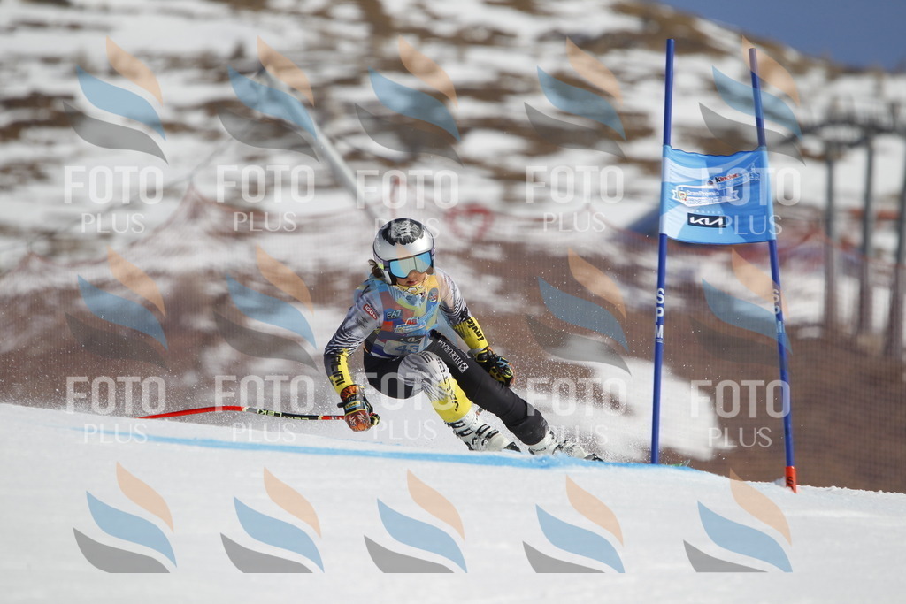 _U3G9260 | holidayphoto