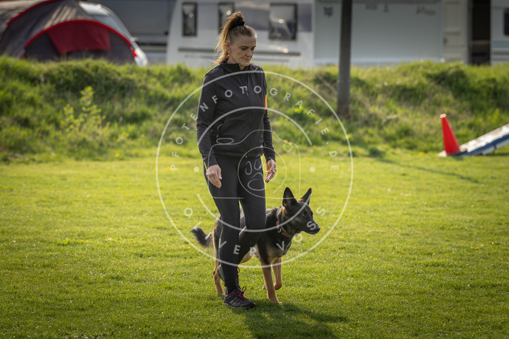 Pfotenfotografie_DV3A4810 | Hundefotografie, Tierfotograf, Pfotenfotografie, Fotoshooting Hund, Hunde Portrait, Hundesport, Hundeportraits, Heideshooting, Hunde, Sportfotograf, Hundefotograf, Turnierhundsport, THS,  - Realisiert mit Pictrs.com
