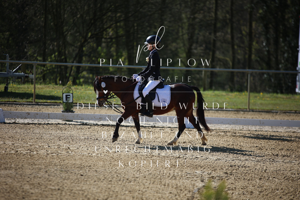 IMGT9478 | pl-fotografie