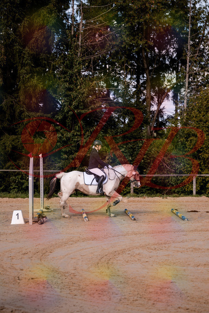 2026_10_03_Siefer-Hof_144155_Z81_14333510 | Professionelle Reitsport-, Turnier- und Eventfotografie von Robert Broda. Galerien mit ausgewählten und bearbeiteten Bildern direkt online ansehen und bestellen.