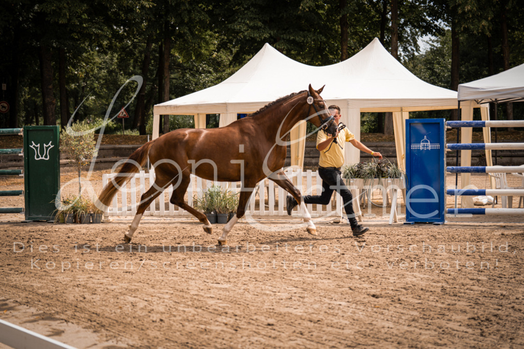 2. Fr00012 | Leoni Ertmer Photography - Realisiert mit Pictrs.com